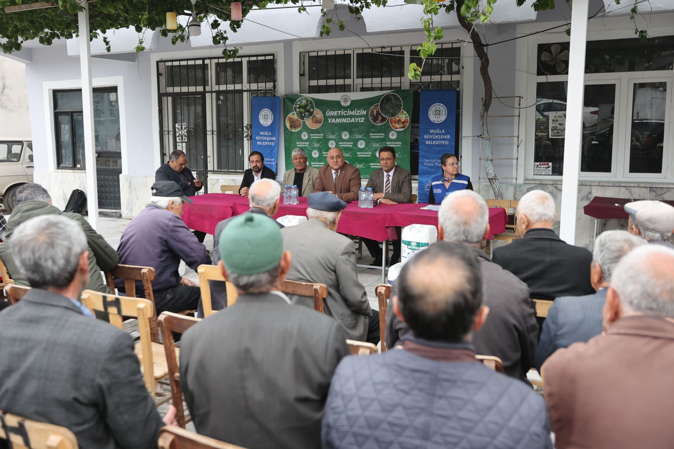Muğla’da Çam Fıstığı Üreticisine Doğal Destek Hamlesi