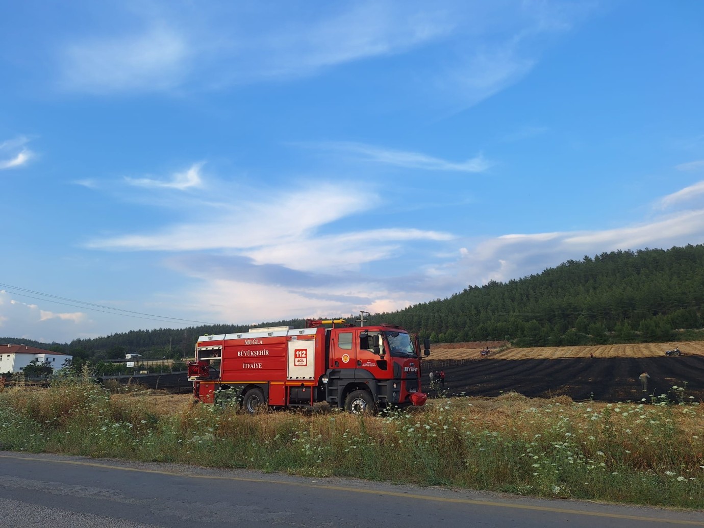 Seydikemer'de Buğday Saplarının Bulunduğu Arazide Yangın