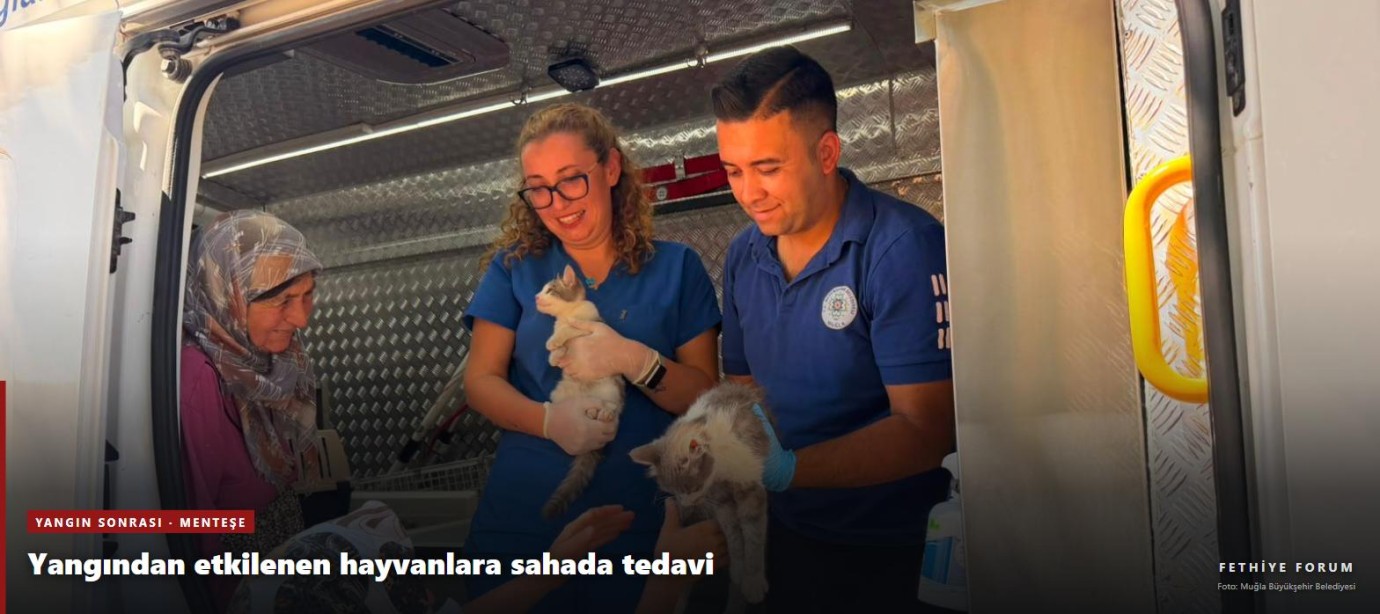 Yaraş'taki yangından etkilenen hayvanlara sahada tedavi