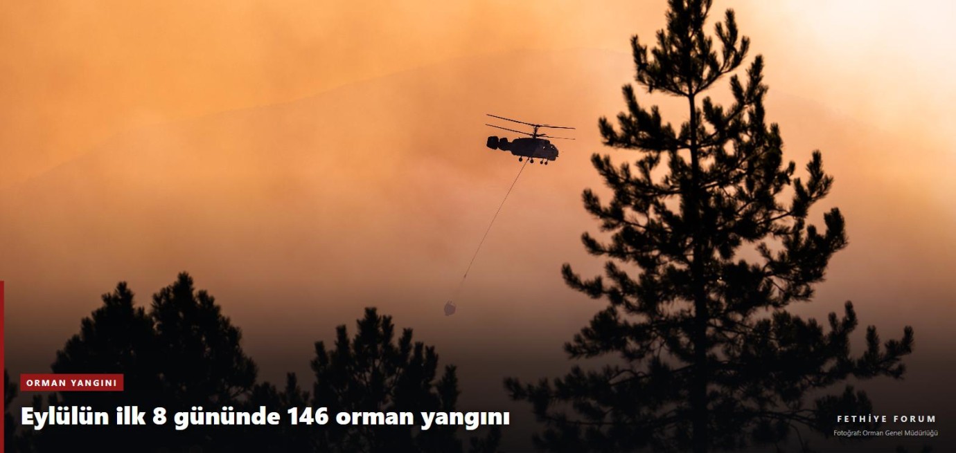 OGM uyardı: Eylülün ilk 8 gününde 146 orman yangını çıktı, Muğla'da risk sürüyor