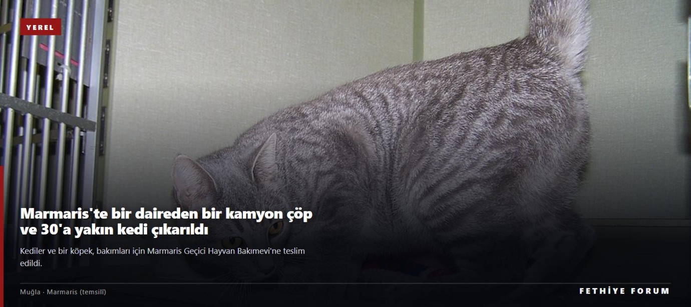 Marmaris'te bir daireden bir kamyon çöp ve 30'a yakın kedi çıkarıldı