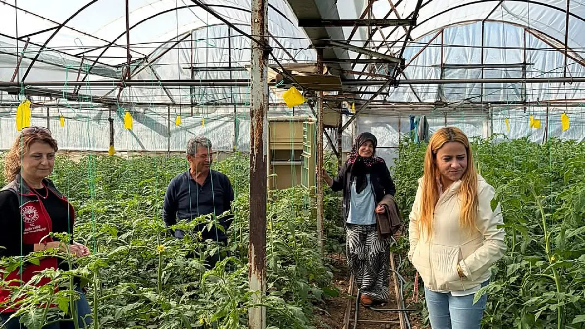 Ortaca'da serada entegre mücadele kontrolü