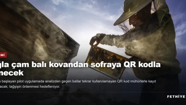Muğla çam balı kovandan sofraya QR kodla izlenecek
