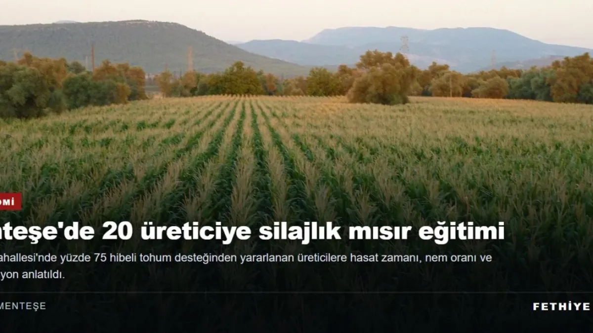 Menteşe'de 20 üreticiye silajlık mısırda kaliteli üretim eğitimi