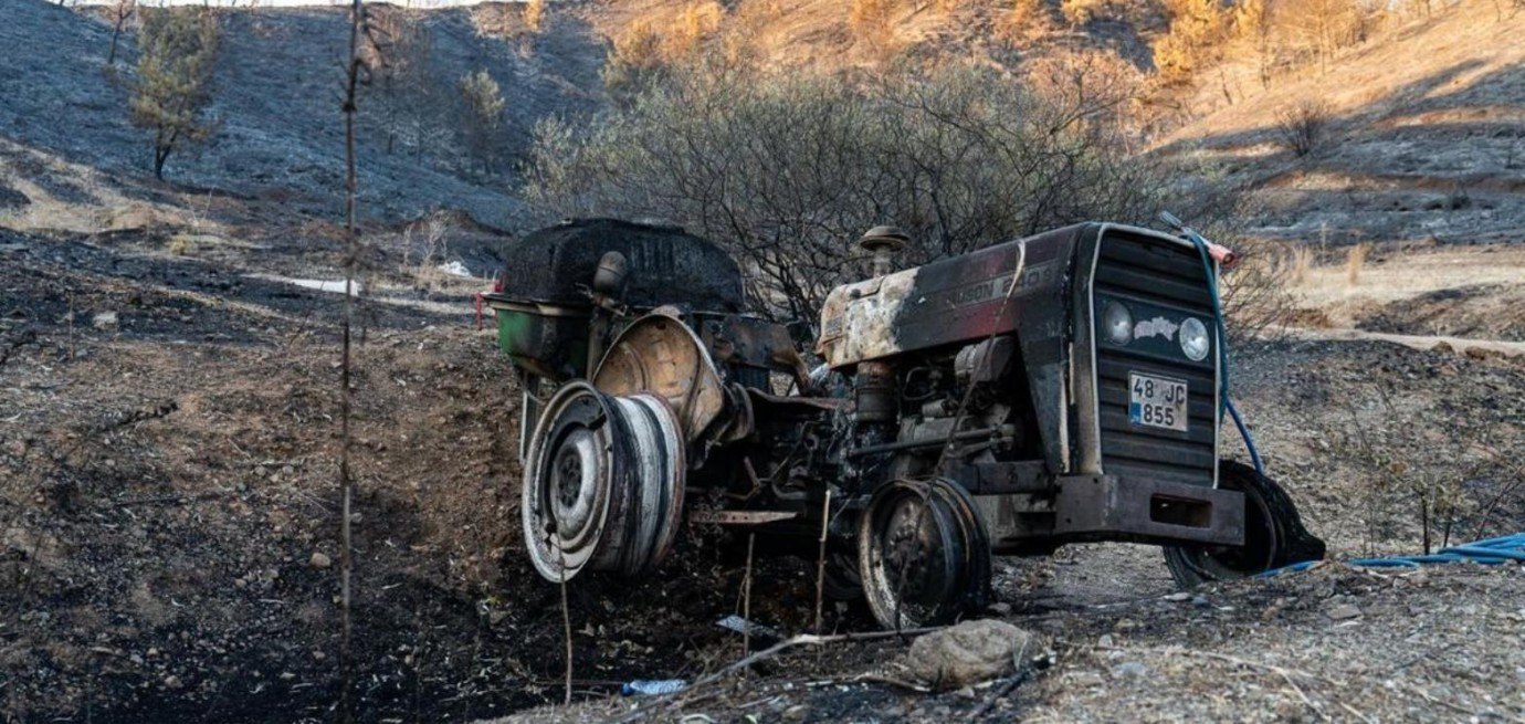Foça ve Karagedik'te yangının bilançosu ağır: Yüzlerce dönüm kül oldu
