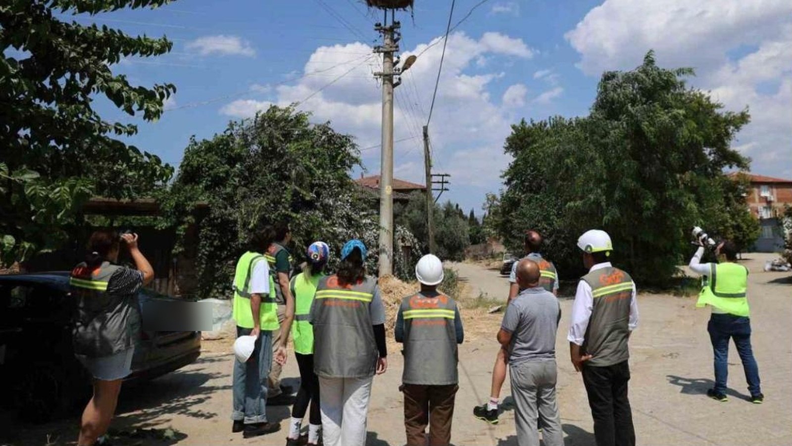 Elektrik direğindeki leylek yuvasını inceleyen saha ekibi