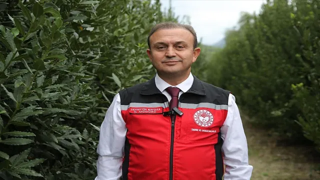 Muğla İl Tarım ve Orman Müdürü Seyfettin Baydar defne bahçesinde poz veriyor