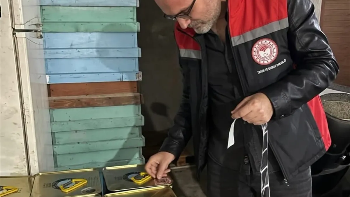 Çam Balı Takip Projesi kapsamında bal tenekelerine barkod uygulanıyor