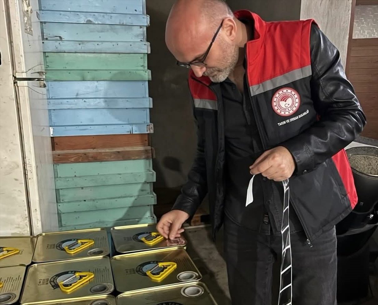 Çam Balı Takip Projesi kapsamında bal tenekelerine barkod uygulanıyor