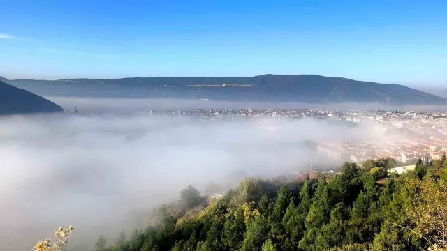 Sisle kaplanan Menteşe
